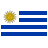 Uruguay .ORG.UY - Domgate